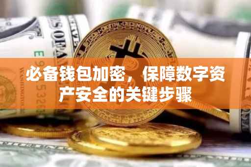 必备钱包加密，保障数字资产安全的关键步骤