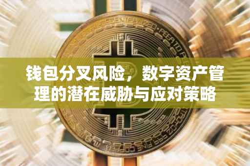 钱包分叉风险，数字资产管理的潜在威胁与应对策略