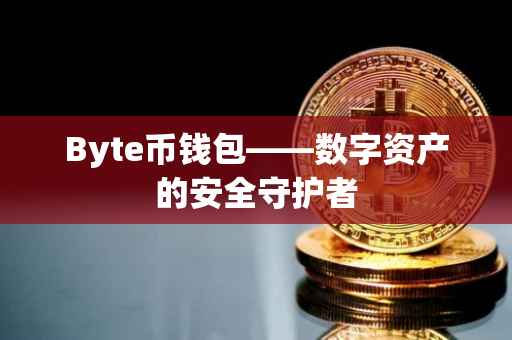 Byte币钱包——数字资产的安全守护者