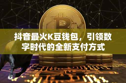 抖音最火K豆钱包，引领数字时代的全新支付方式