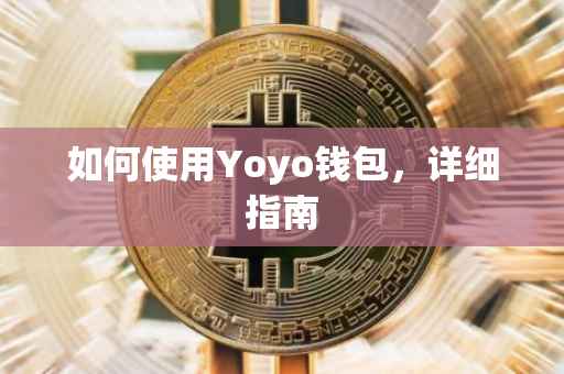 如何使用Yoyo钱包，详细指南
