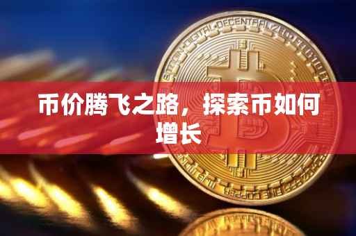 币价腾飞之路，探索币如何增长