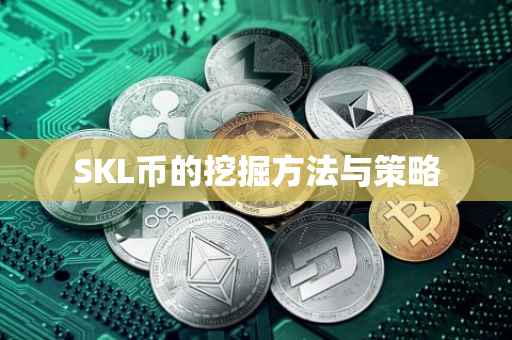 SKL币的挖掘方法与策略