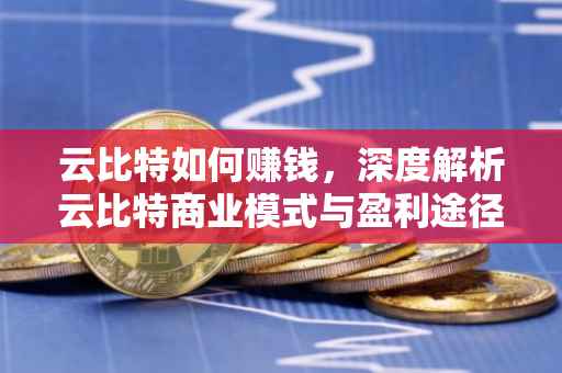 云比特如何赚钱，深度解析云比特商业模式与盈利途径