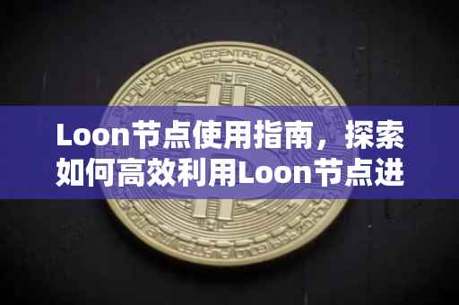 Loon节点使用指南，探索如何高效利用Loon节点进行网络操作
