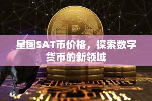 星图SAT币价格，探索数字货币的新领域