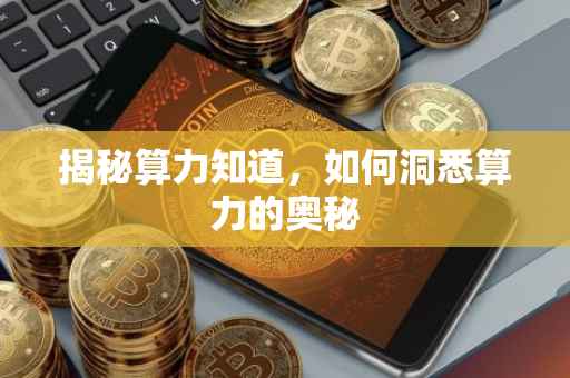 揭秘算力知道，如何洞悉算力的奥秘