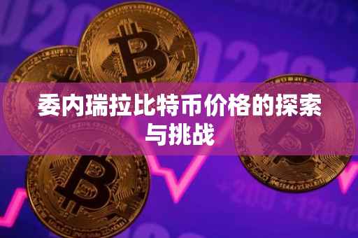 委内瑞拉比特币价格的探索与挑战