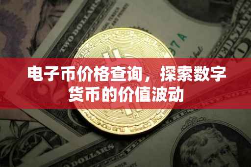 电子币价格查询，探索数字货币的价值波动