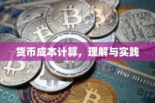 货币成本计算，理解与实践
