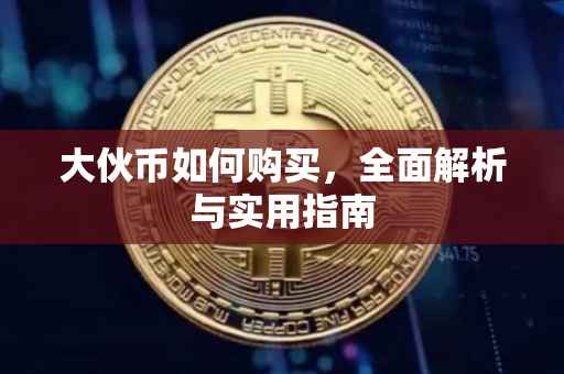 大伙币如何购买，全面解析与实用指南