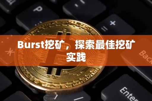 Burst挖矿，探索最佳挖矿实践