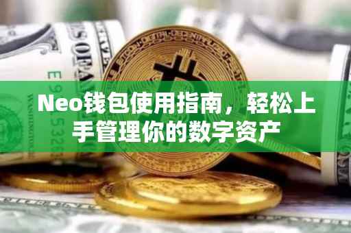 Neo钱包使用指南，轻松上手管理你的数字资产