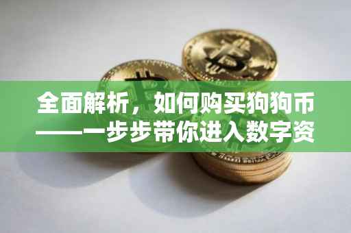 全面解析，如何购买狗狗币——一步步带你进入数字资产的世界
