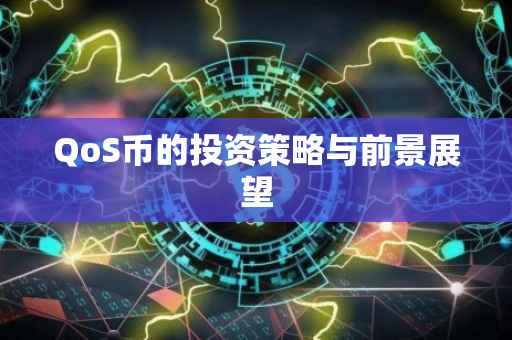 QoS币的投资策略与前景展望