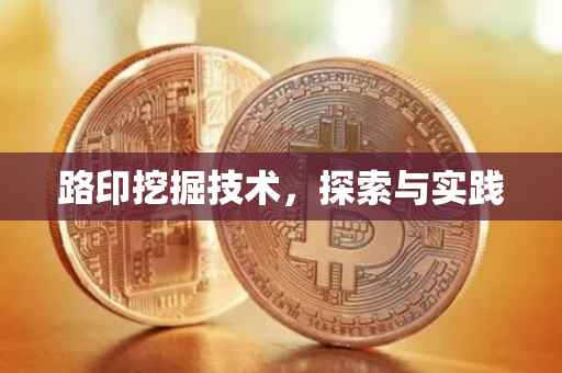 路印挖掘技术，探索与实践
