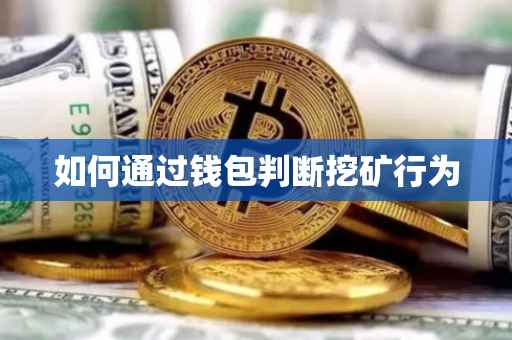 如何通过钱包判断挖矿行为