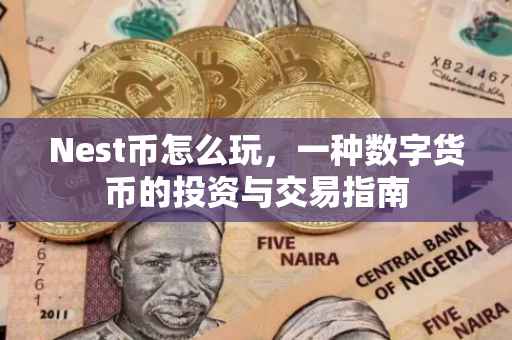 Nest币怎么玩，一种数字货币的投资与交易指南