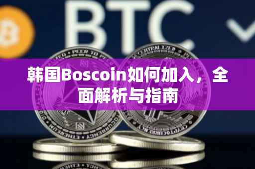 韩国Boscoin如何加入，全面解析与指南