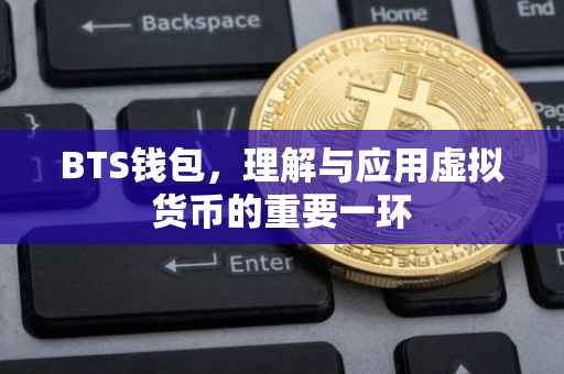 BTS钱包，理解与应用虚拟货币的重要一环