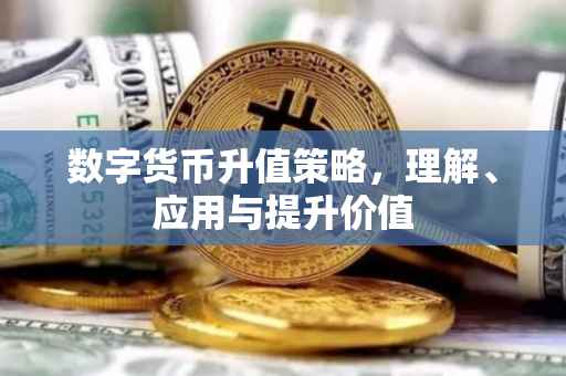 数字货币升值策略，理解、应用与提升价值