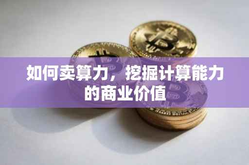 如何卖算力，挖掘计算能力的商业价值