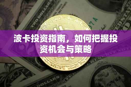 波卡投资指南，如何把握投资机会与策略