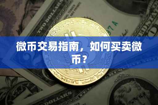 微币交易指南，如何买卖微币？