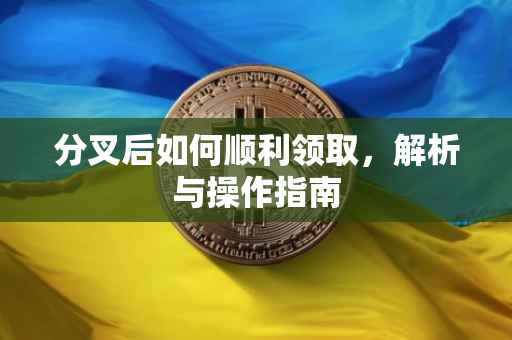 分叉后如何顺利领取，解析与操作指南