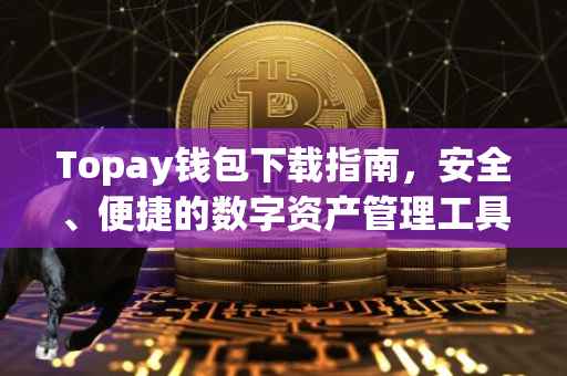 Topay钱包下载指南，安全、便捷的数字资产管理工具