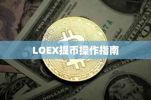 LOEX提币操作指南