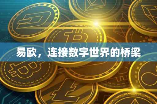易欧，连接数字世界的桥梁