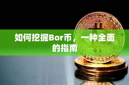 如何挖掘Bor币，一种全面的指南