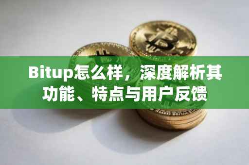 Bitup怎么样，深度解析其功能、特点与用户反馈