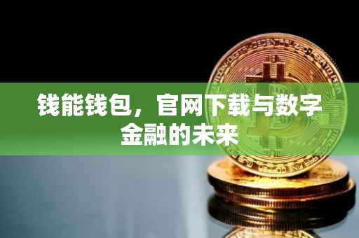 钱能钱包，官网下载与数字金融的未来
