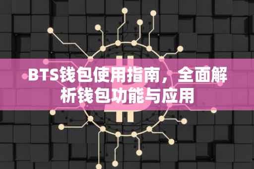 BTS钱包使用指南，全面解析钱包功能与应用