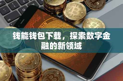 钱能钱包下载，探索数字金融的新领域