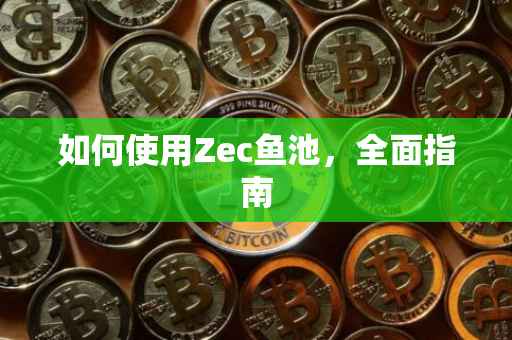 如何使用Zec鱼池，全面指南