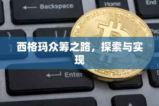 西格玛众筹之路，探索与实现
