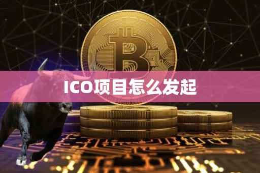 ICO项目怎么发起