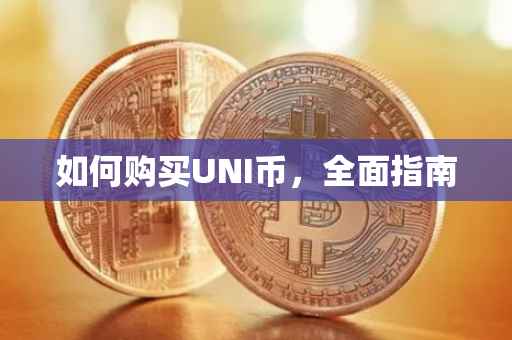 如何购买UNI币，全面指南