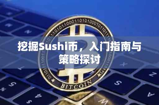 挖掘Sushi币，入门指南与策略探讨