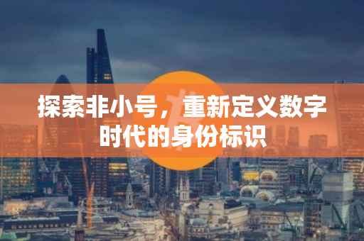 探索非小号，重新定义数字时代的身份标识