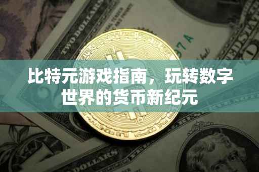 比特元游戏指南，玩转数字世界的货币新纪元