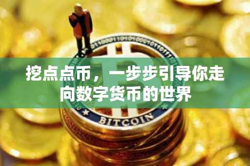 挖点点币，一步步引导你走向数字货币的世界