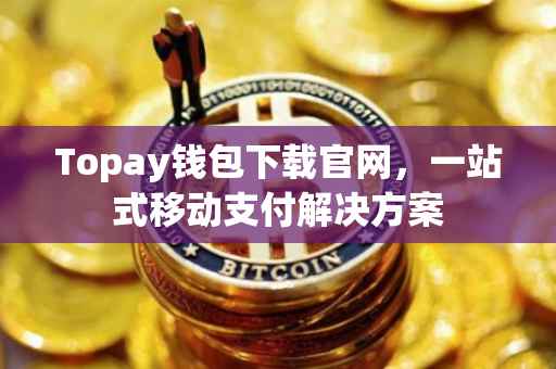 Topay钱包下载官网，一站式移动支付解决方案