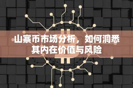 山寨币市场分析，如何洞悉其内在价值与风险