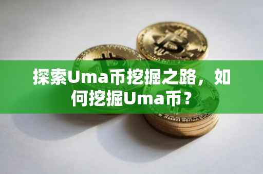 探索Uma币挖掘之路，如何挖掘Uma币？