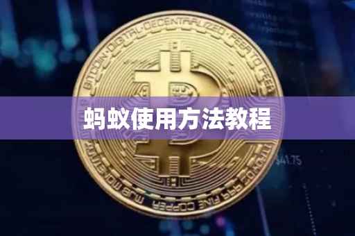 蚂蚁使用方法教程