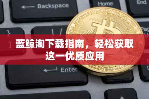 蓝鲸淘下载指南，轻松获取这一优质应用